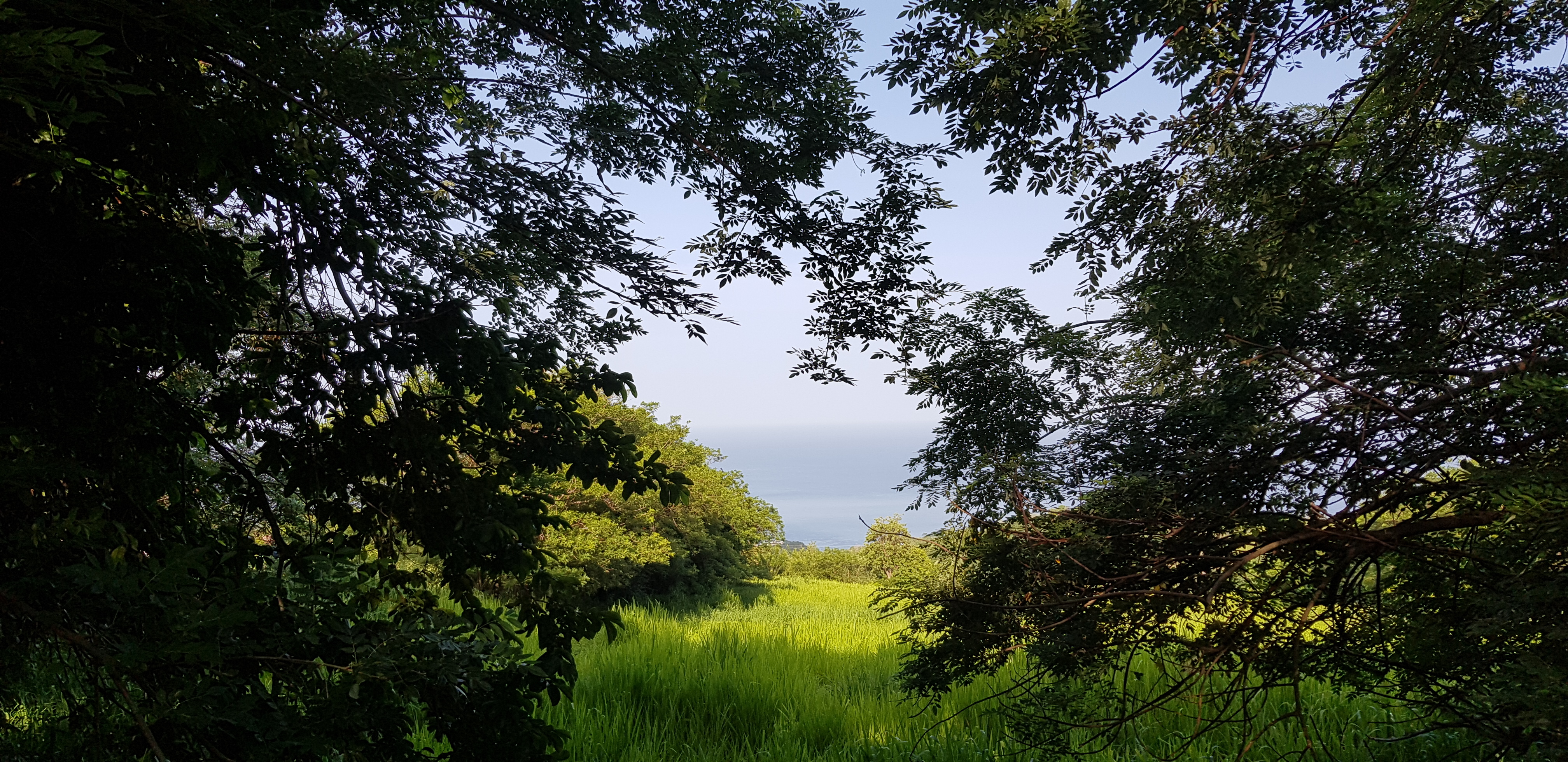 Vue 01