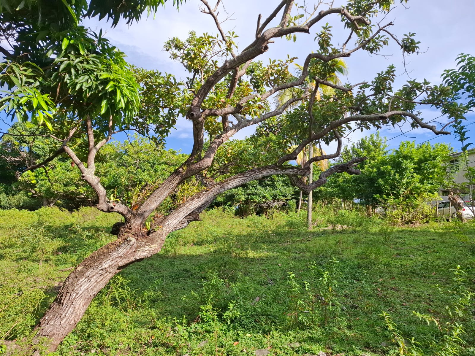 Vue 01